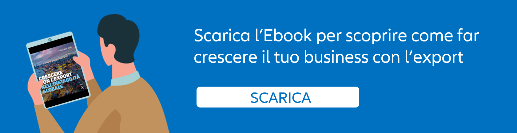 PDF Ebook per le PMI 