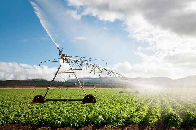 Agrifood Report 2023 Allianz Trade