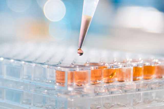 Pharmaceutical Report 2023 Allianz Trade 