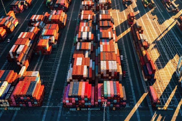 Allianz Trade Global Survey 2024