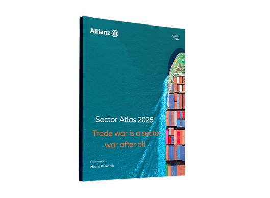 sector atlas 2025 report cover