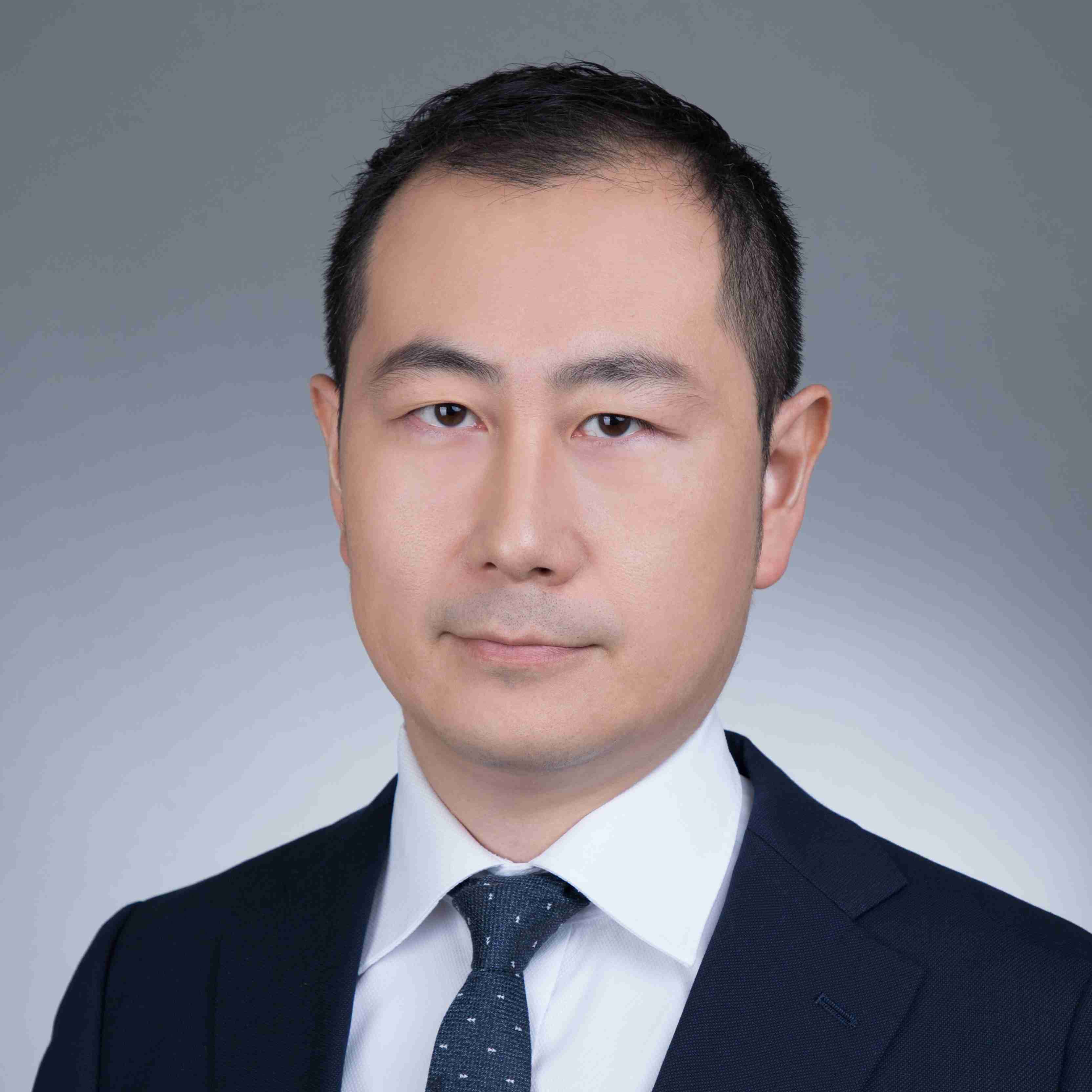 useful description of image if informative and not decoration only.