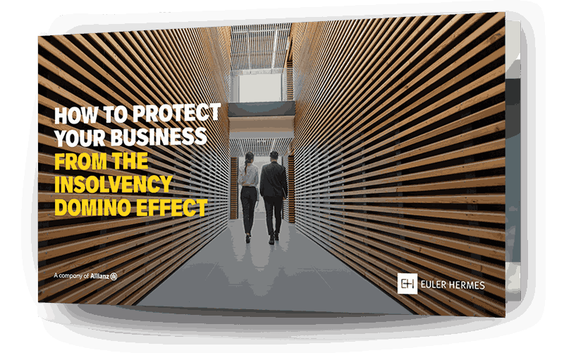 ebook how to protect your business from the insolvency domino effect