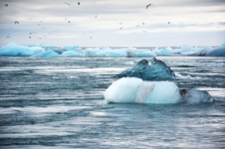 COP25: No such thing as a free lunch
