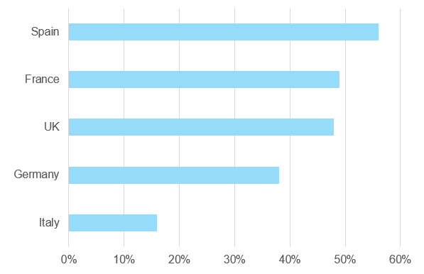 Figure 8: Share of hotel chains in total room capacity, 2019 (%) 