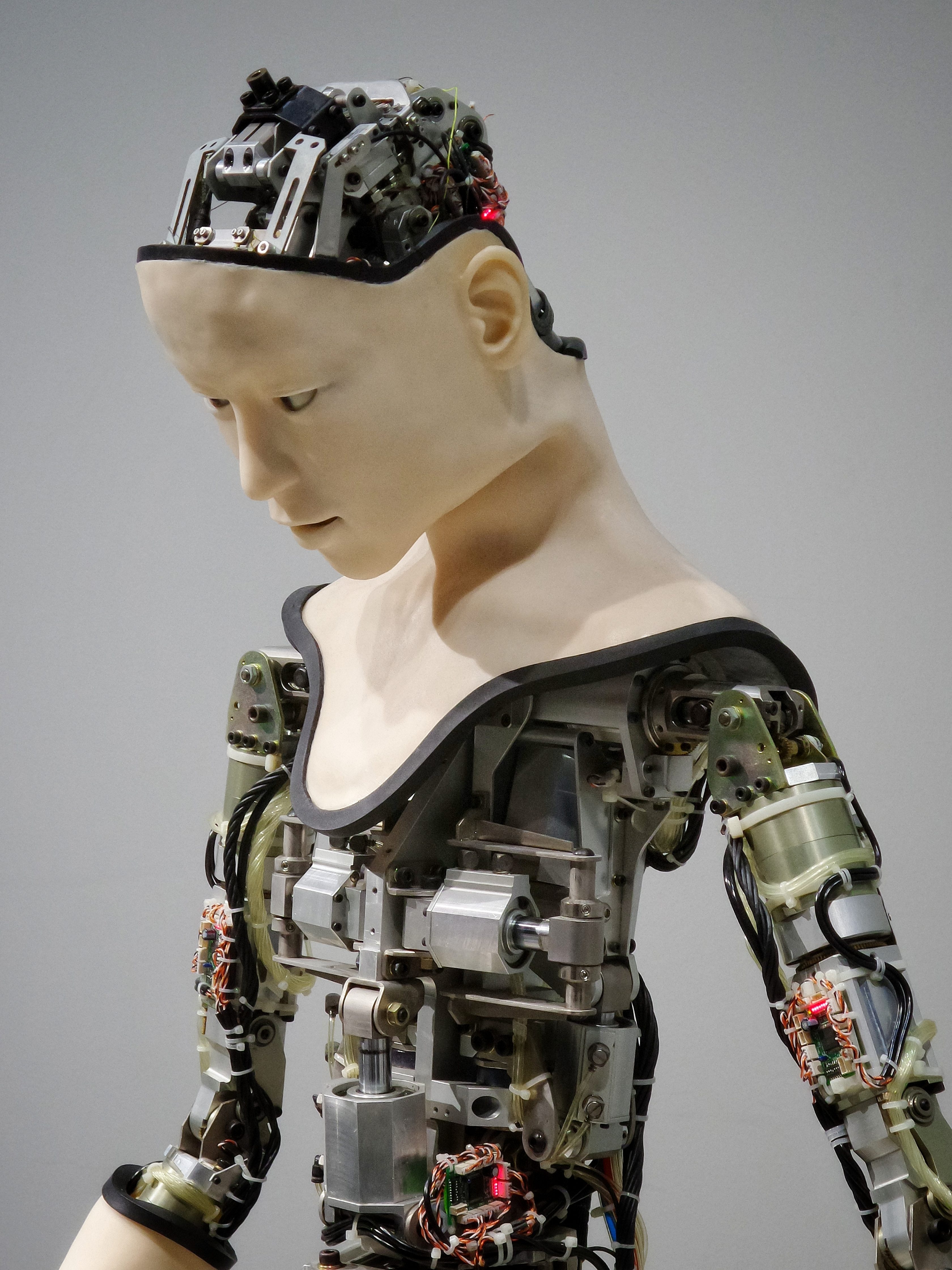 France: Rise of the Machines