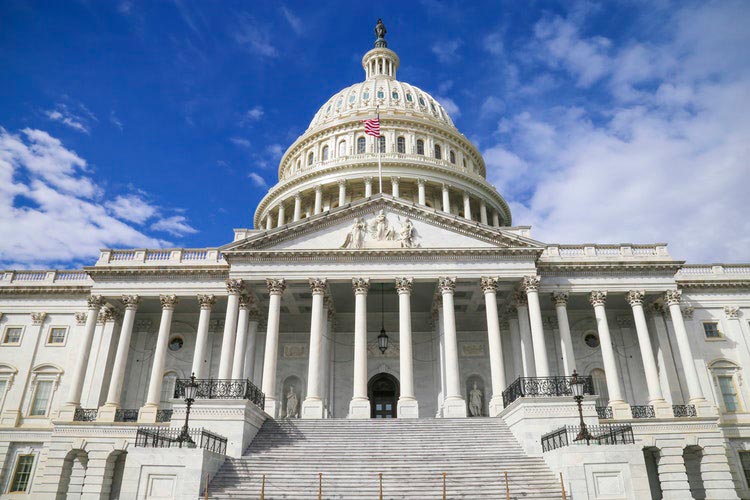 US retail: Big ticket insolvencies continue