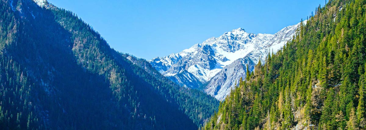 beautiful fjord bordered with mountains