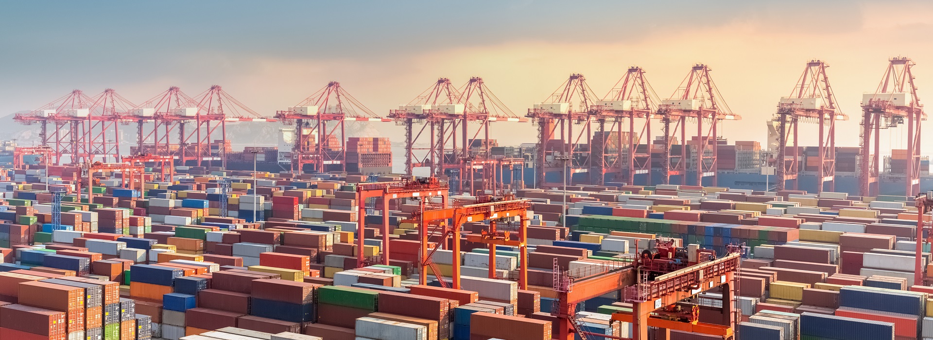 Global Export