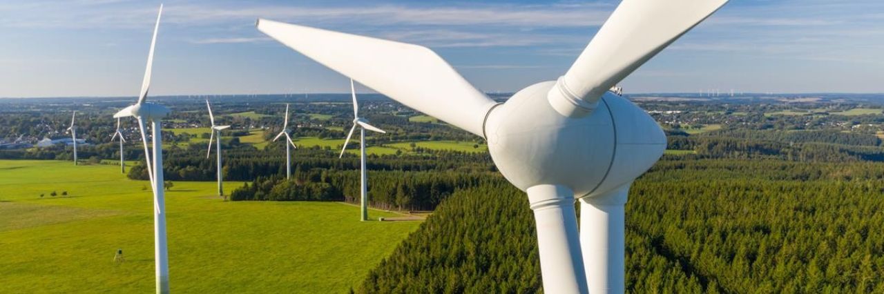 Vista di un parco eolico