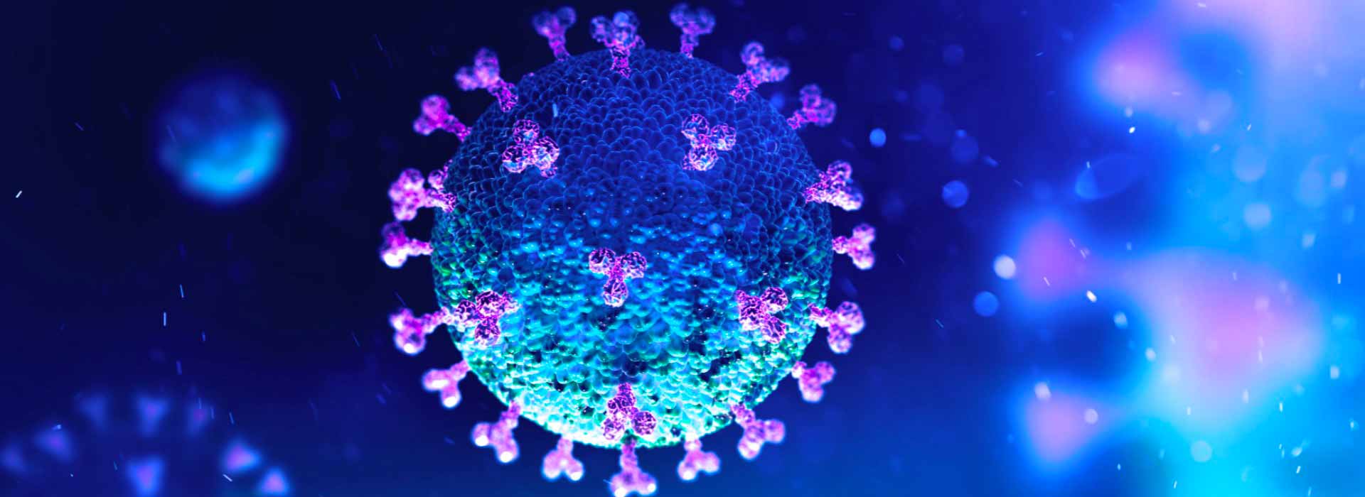 Immagine di virus al microscopio