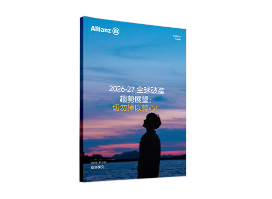 insolvency report cover