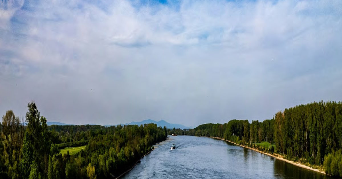 Paysage avec une rivière bordée de forêt