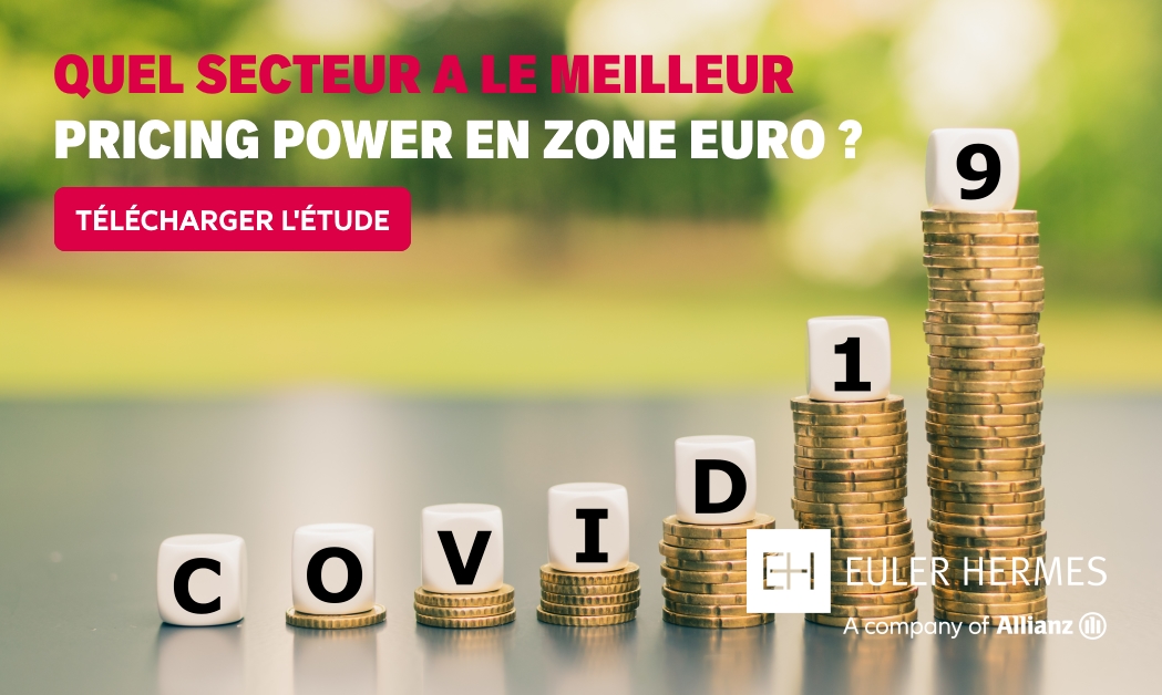 Quel secteur a le plus fort pouvoir de fixation des prix en zone euro ?