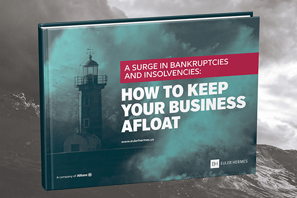 A Surge in Bankruptcies and Insolvencies eBook