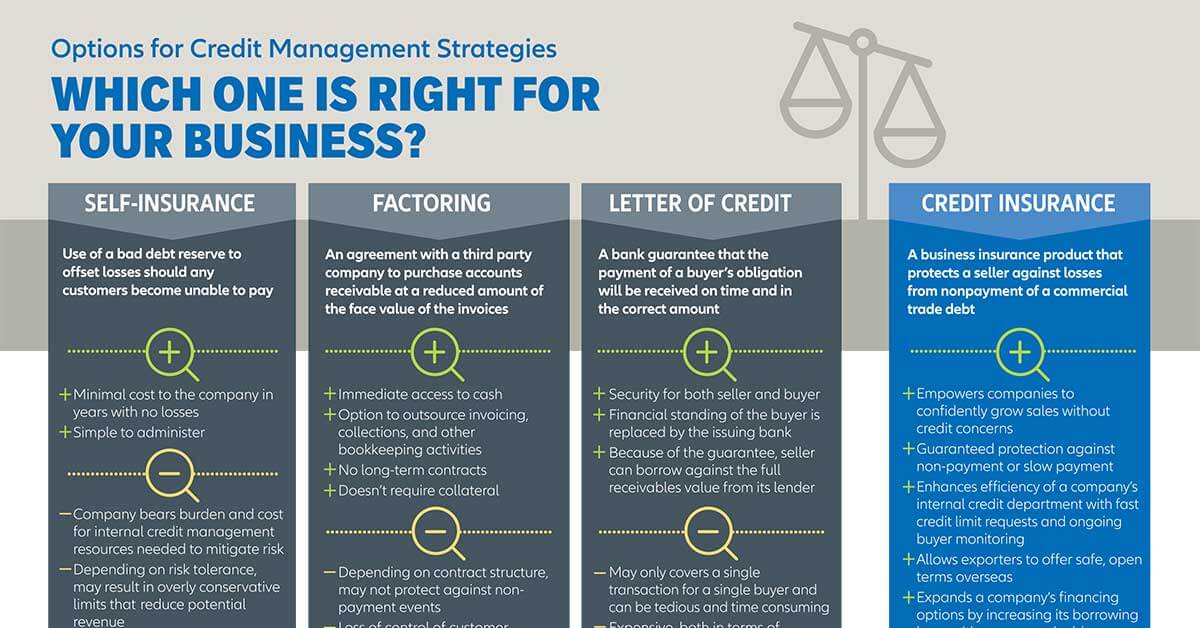 Infographic Thumbnail - Credit Management Options