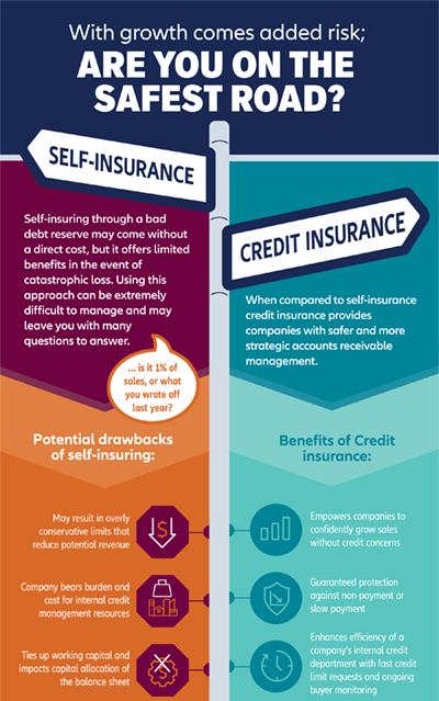 Safest Road to Business Growth [Infographic]