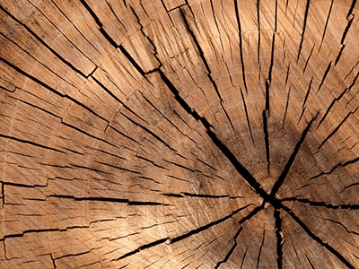 Il Settore legno arredo 2021