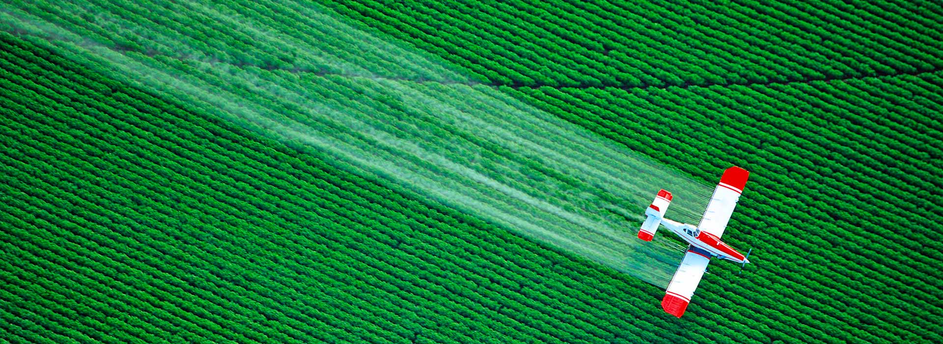 Agrofarmaci biologici a difesa delle colture 